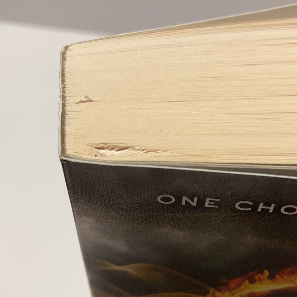 🛍️ Divergent by Veronica Roth - Picture 5 of 5